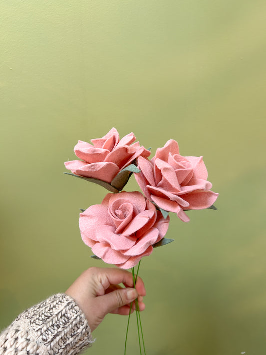Rose - Pink
