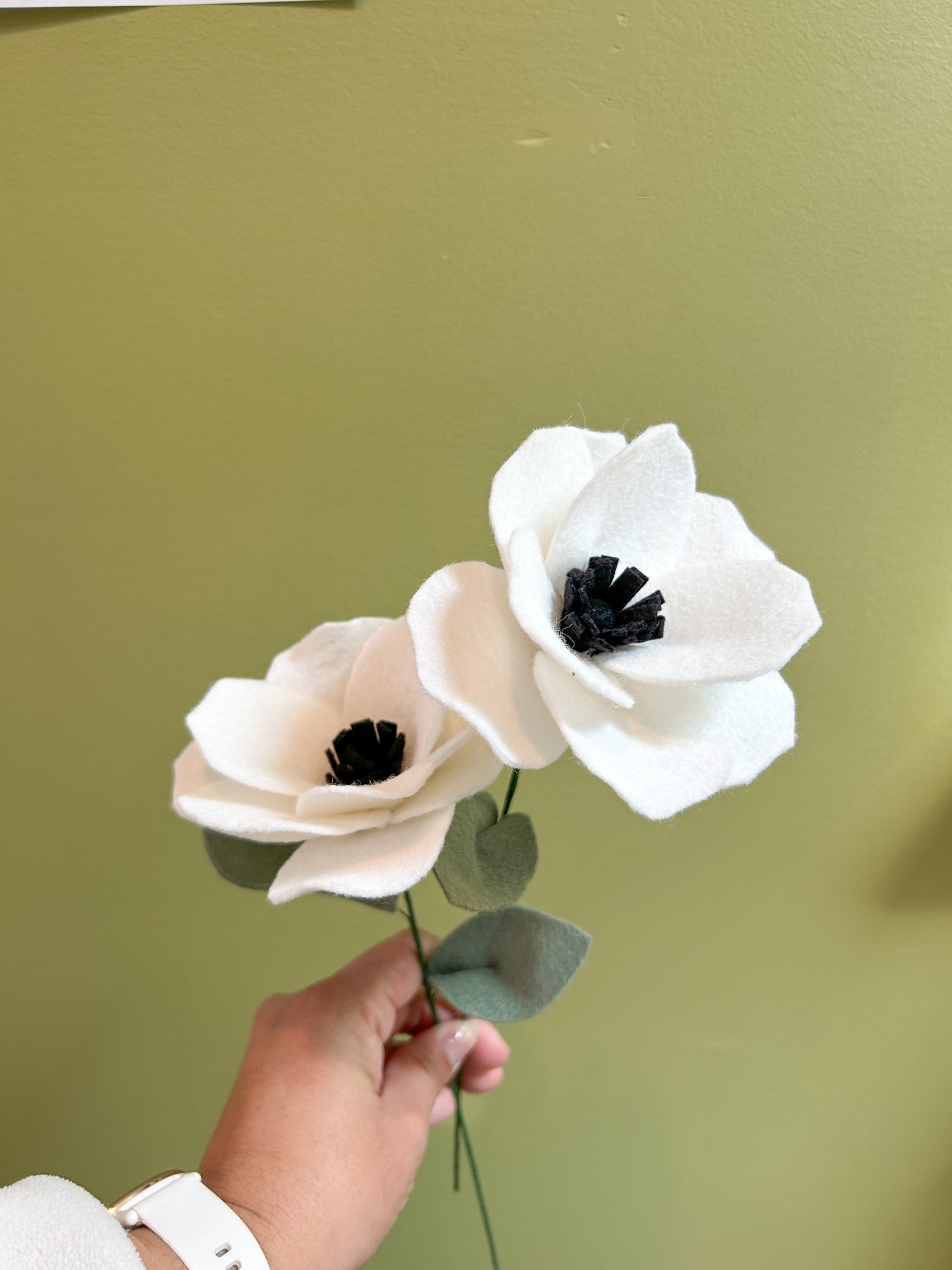 Anemone