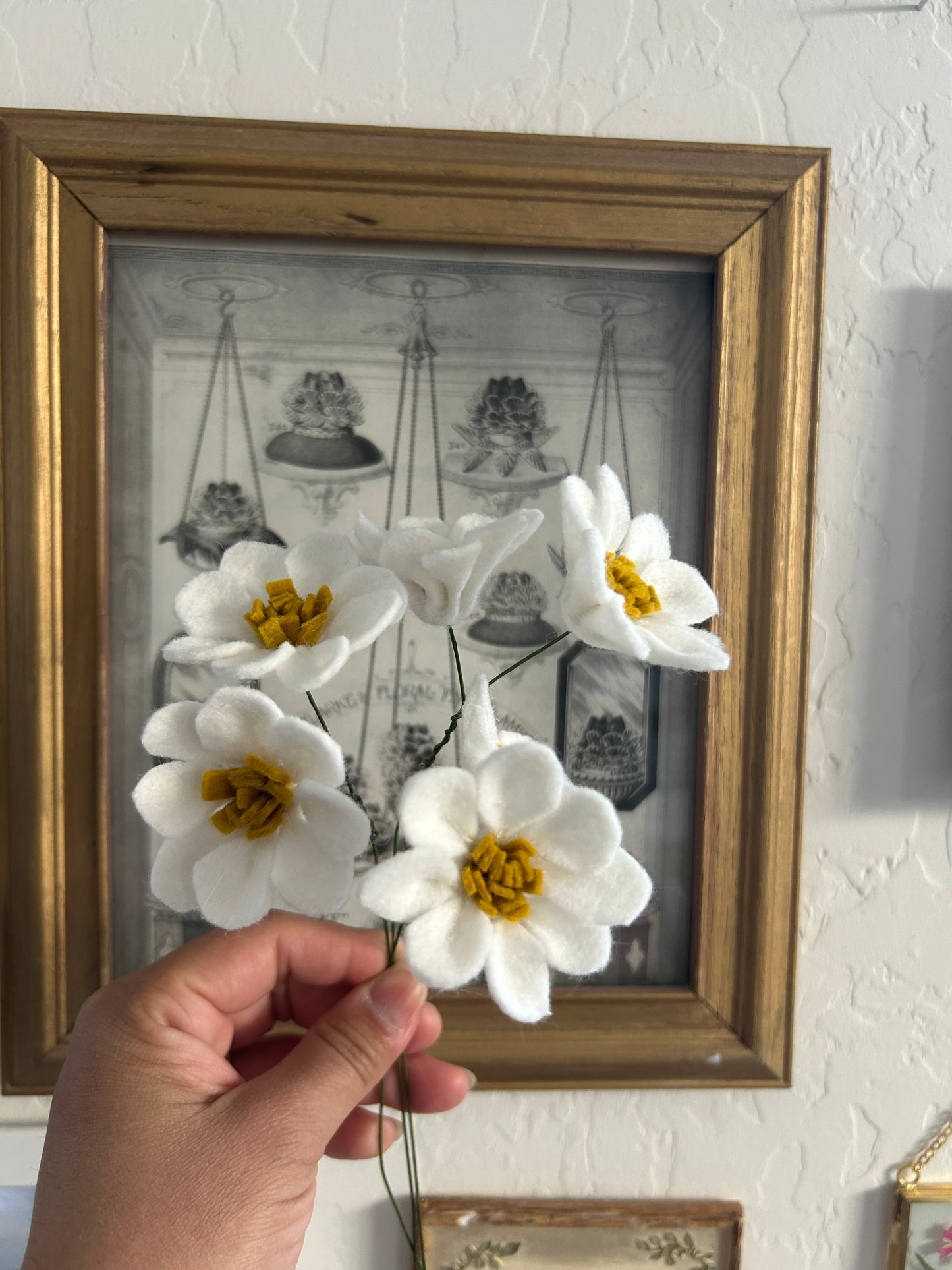 Daisy