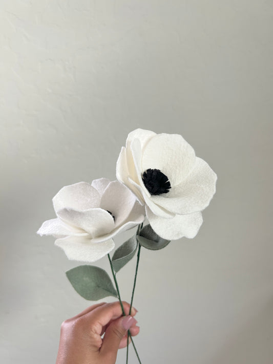 Anemone