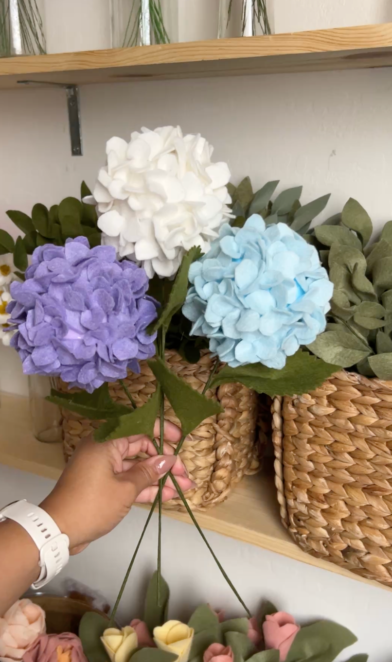 Hydrangeas