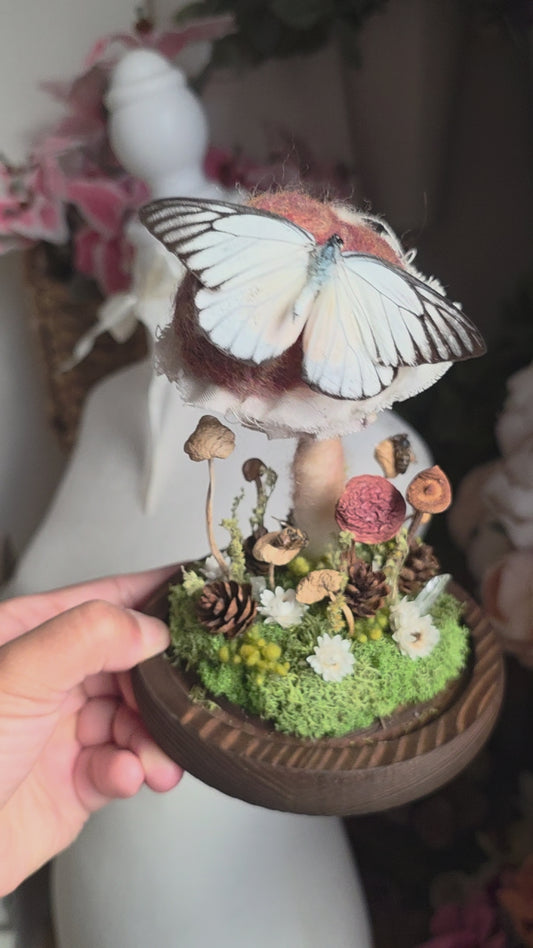 The Mushroom Stop Dome
