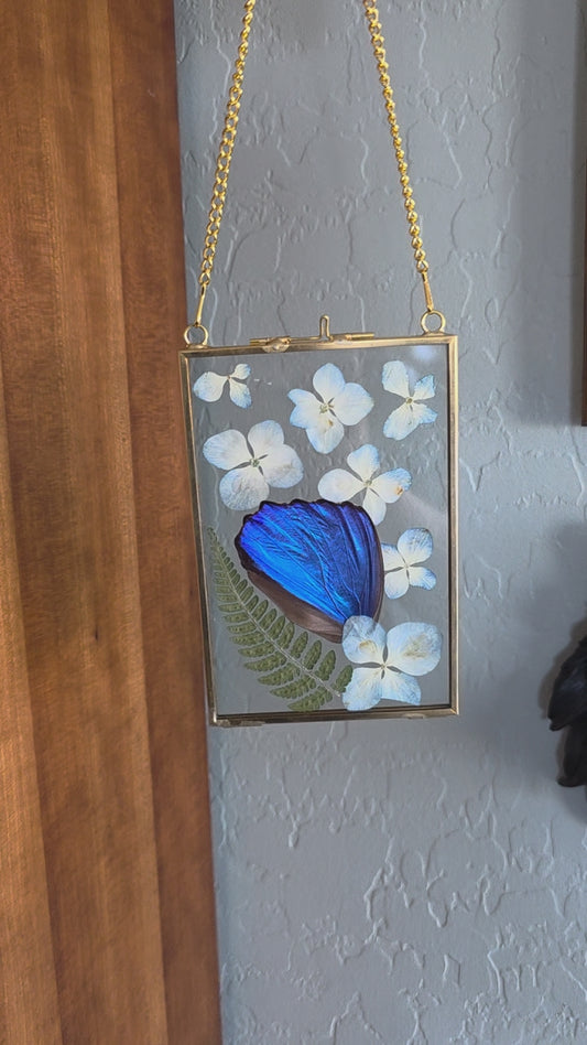 Morpho Wing Frame