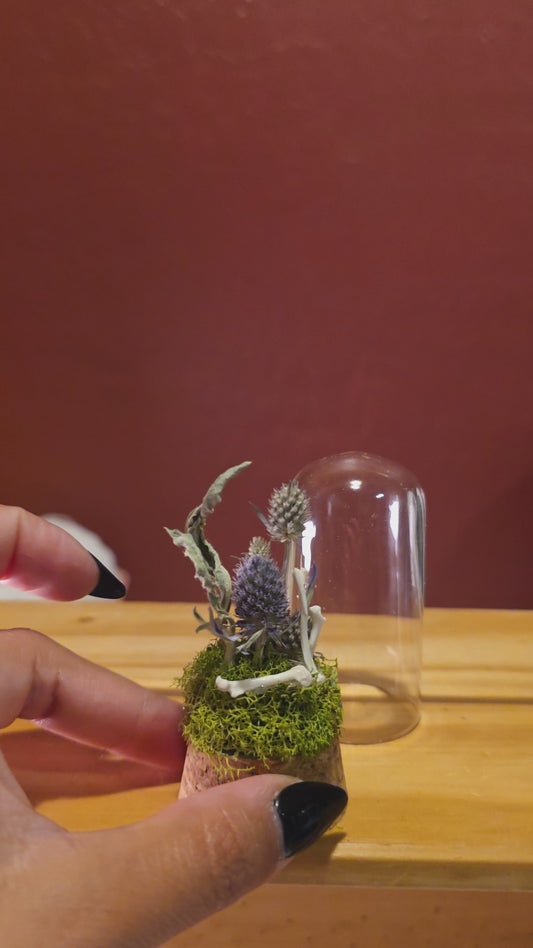 Rodent Bones Dome .1