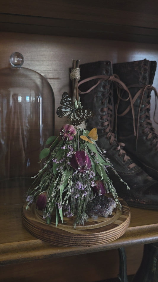 Witches Broom Butterfly Dome .1