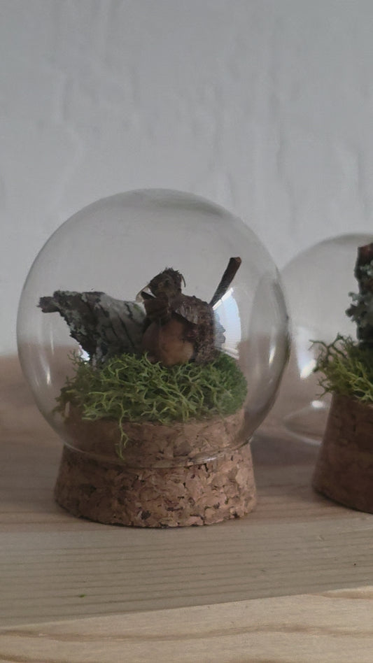 Mini Acorn Bee Dome