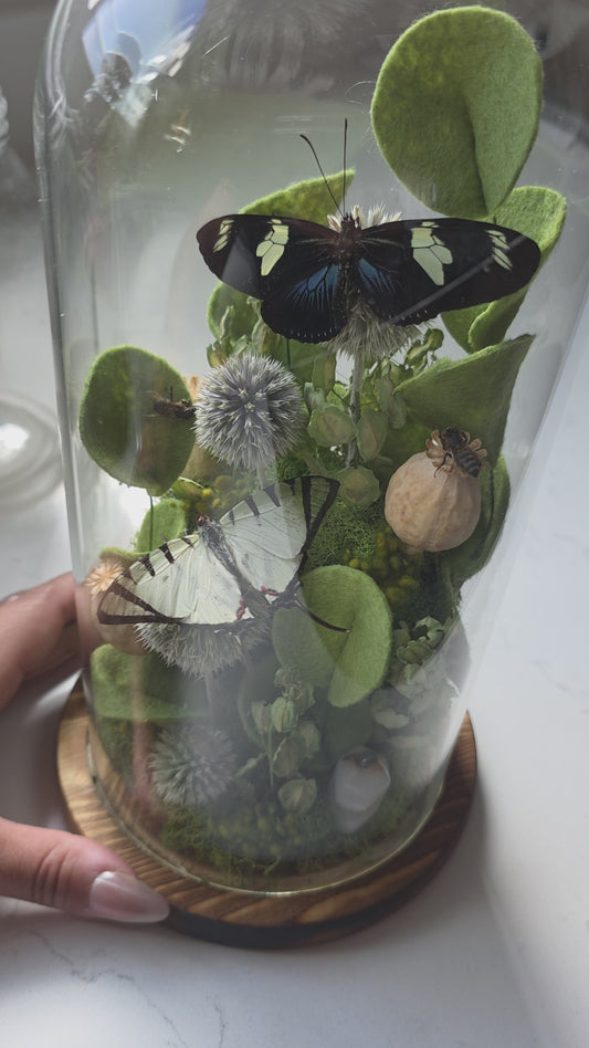 Greenery Butterfly Cloche