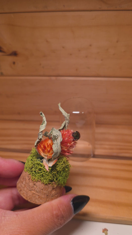 Japanese Beetle Dome .3