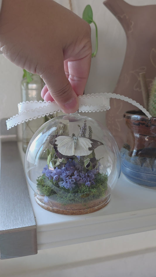 Butterfly Ornament .4