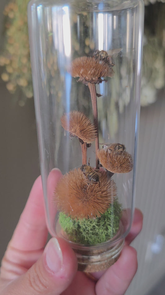 Mini Garden Honey Bees .2