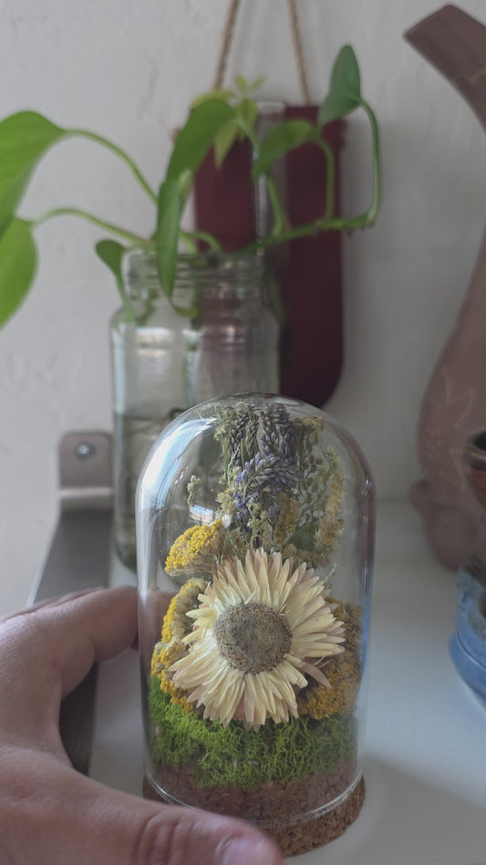 Dried Flower Terrarium .4