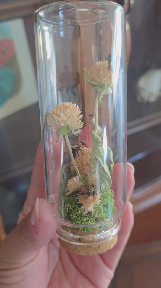 Mini Garden Honey Bees .1