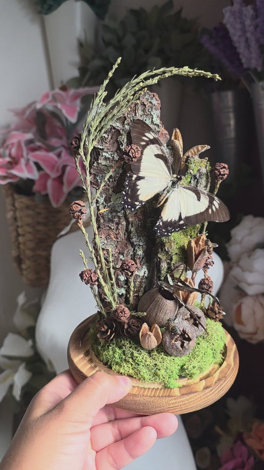 A Forest Escape