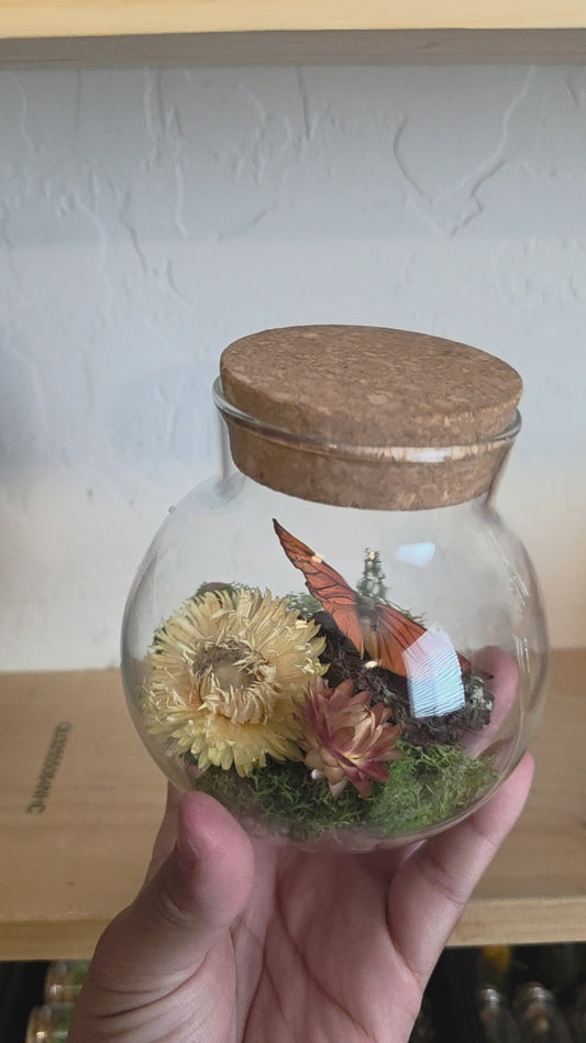 Butterfly Terrarium .1