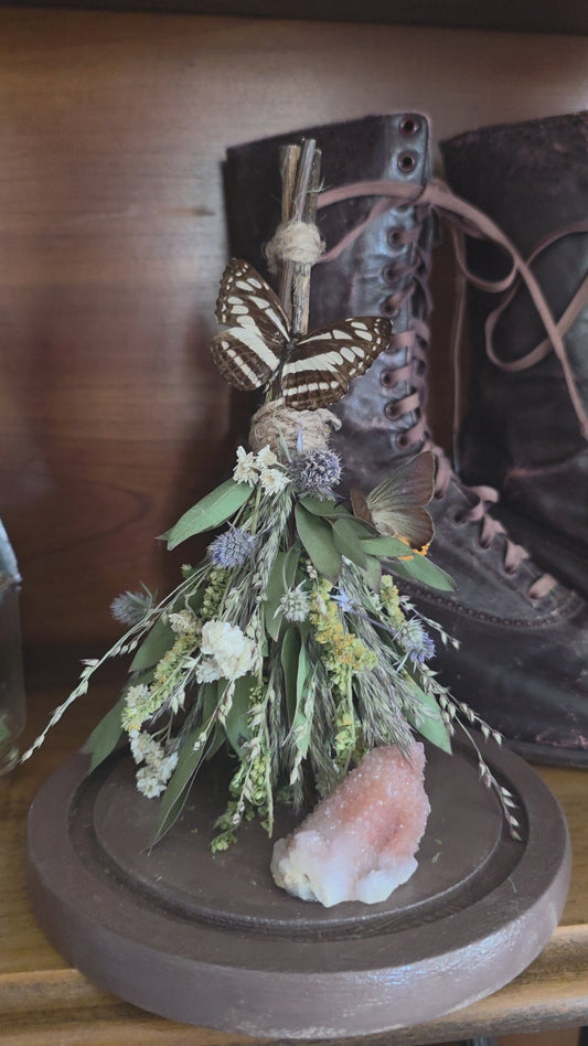 Witches Broom Butterfly Dome .2
