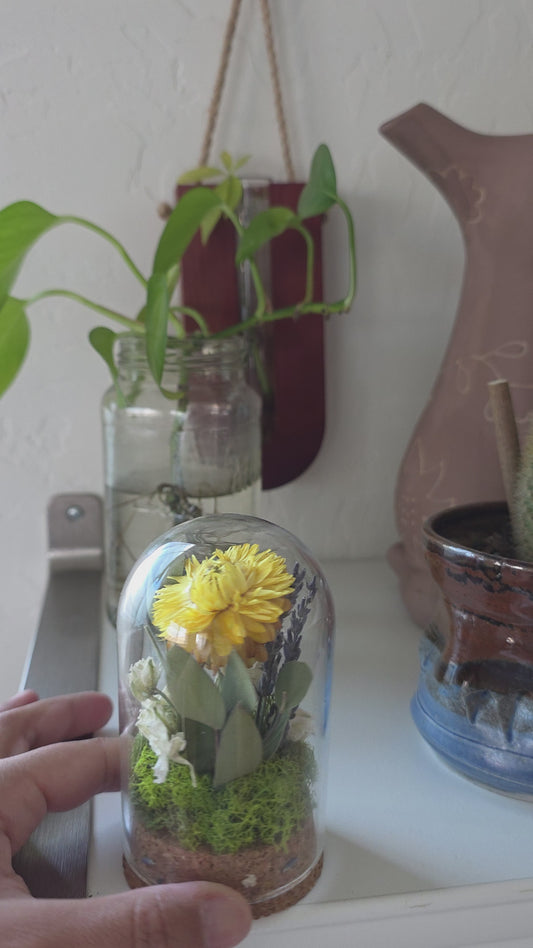 Dried Flower Terrarium .2