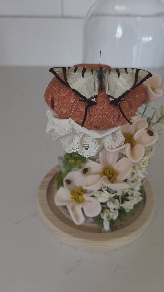 Burnt Orange Mushroom Garden