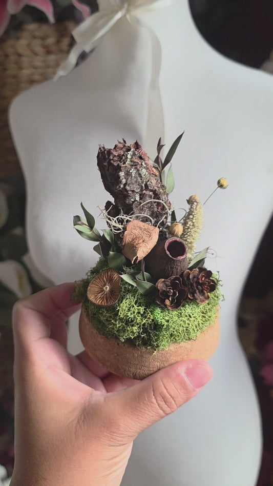 Woodland Dome .1