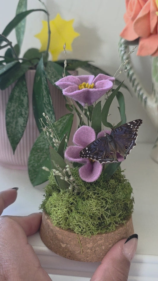 Butterfly Dome. 2