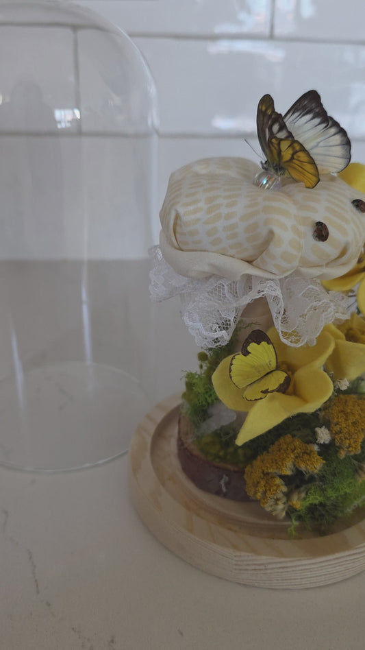 Yellow  Mushroom Garden