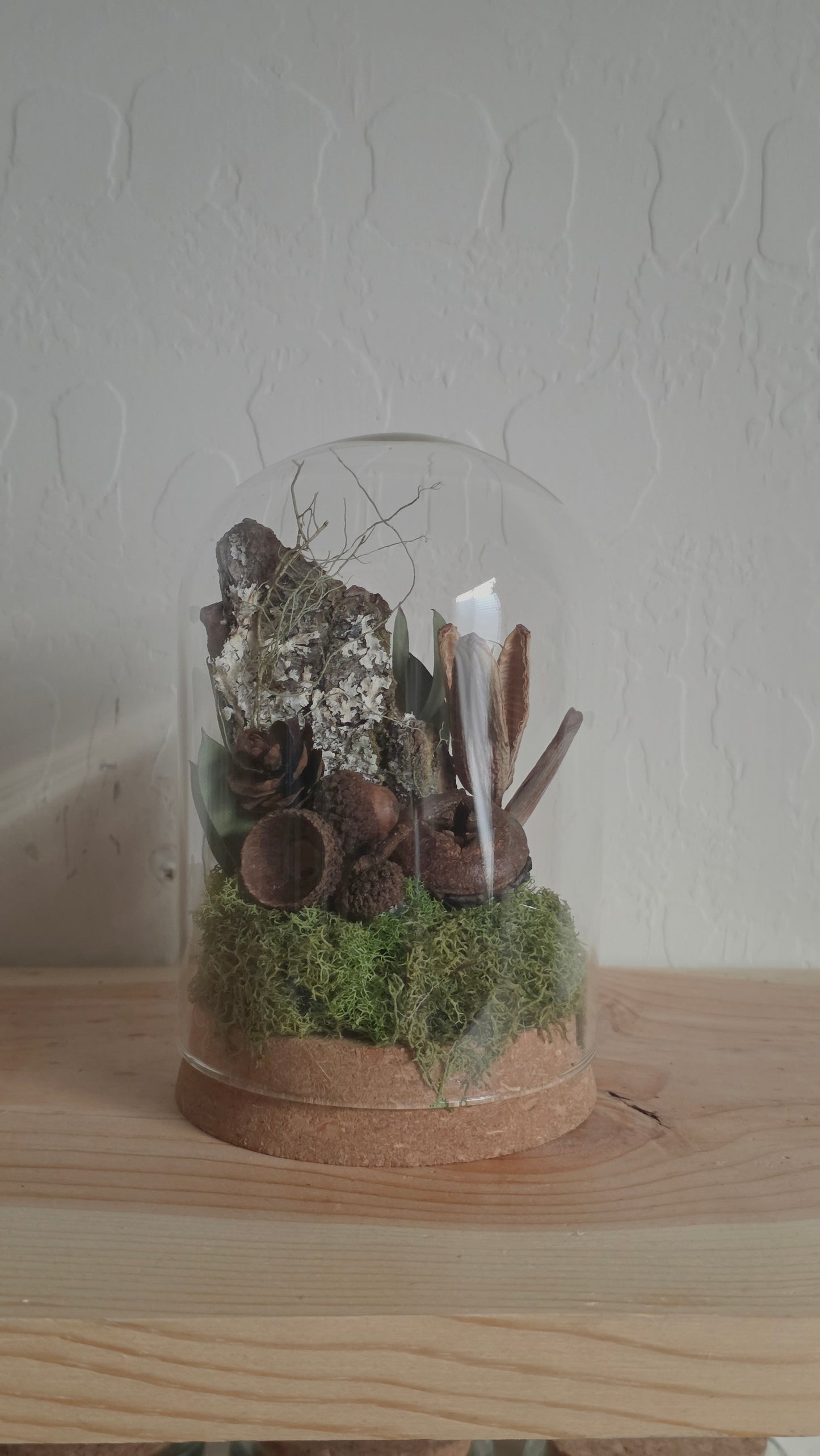 Woodland Dome .2