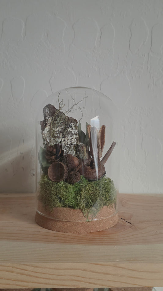 Woodland Dome .2