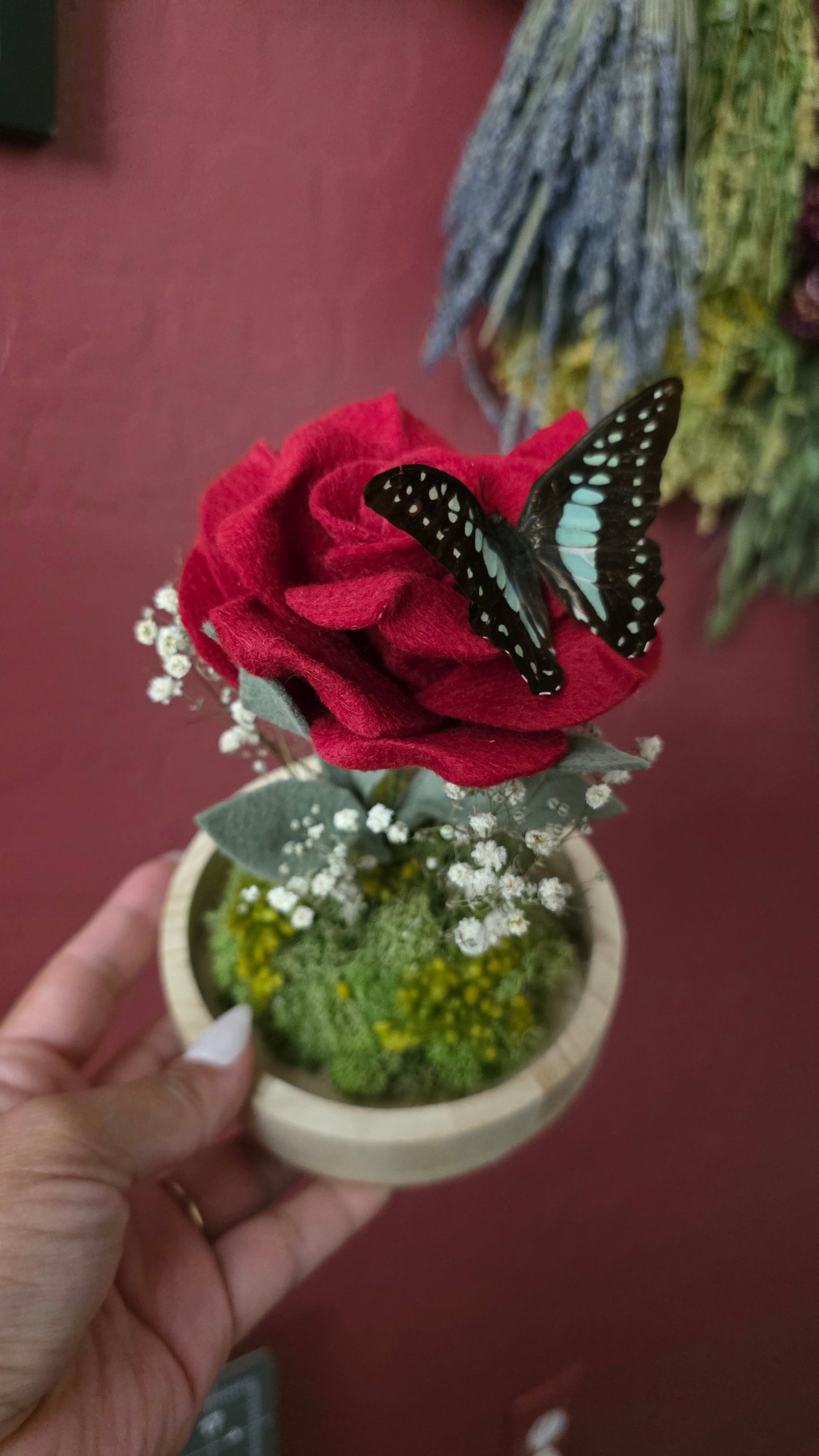 Butterfly Rose Dome