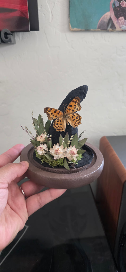Witch Hat Dome .2