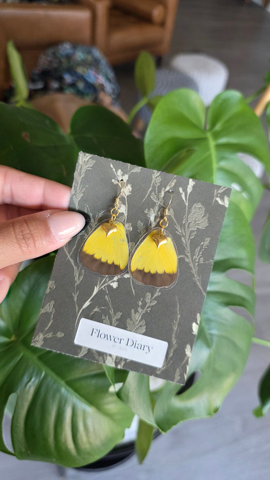 Wing Earring .8