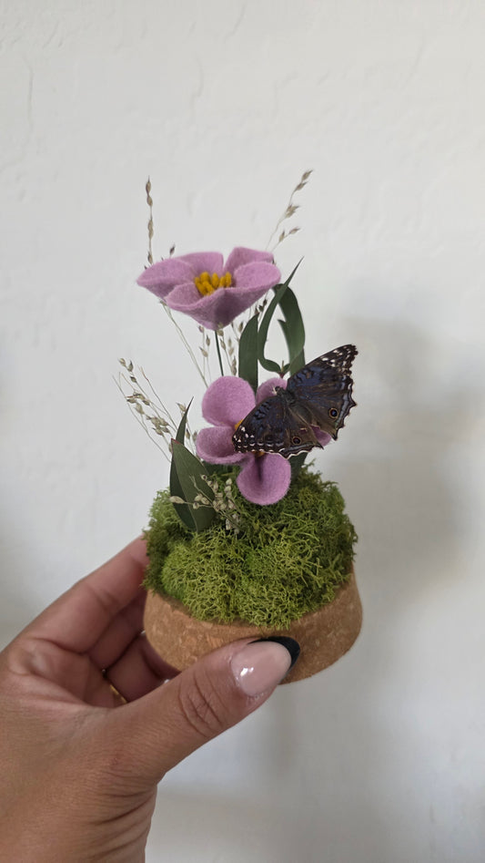Butterfly Dome. 2