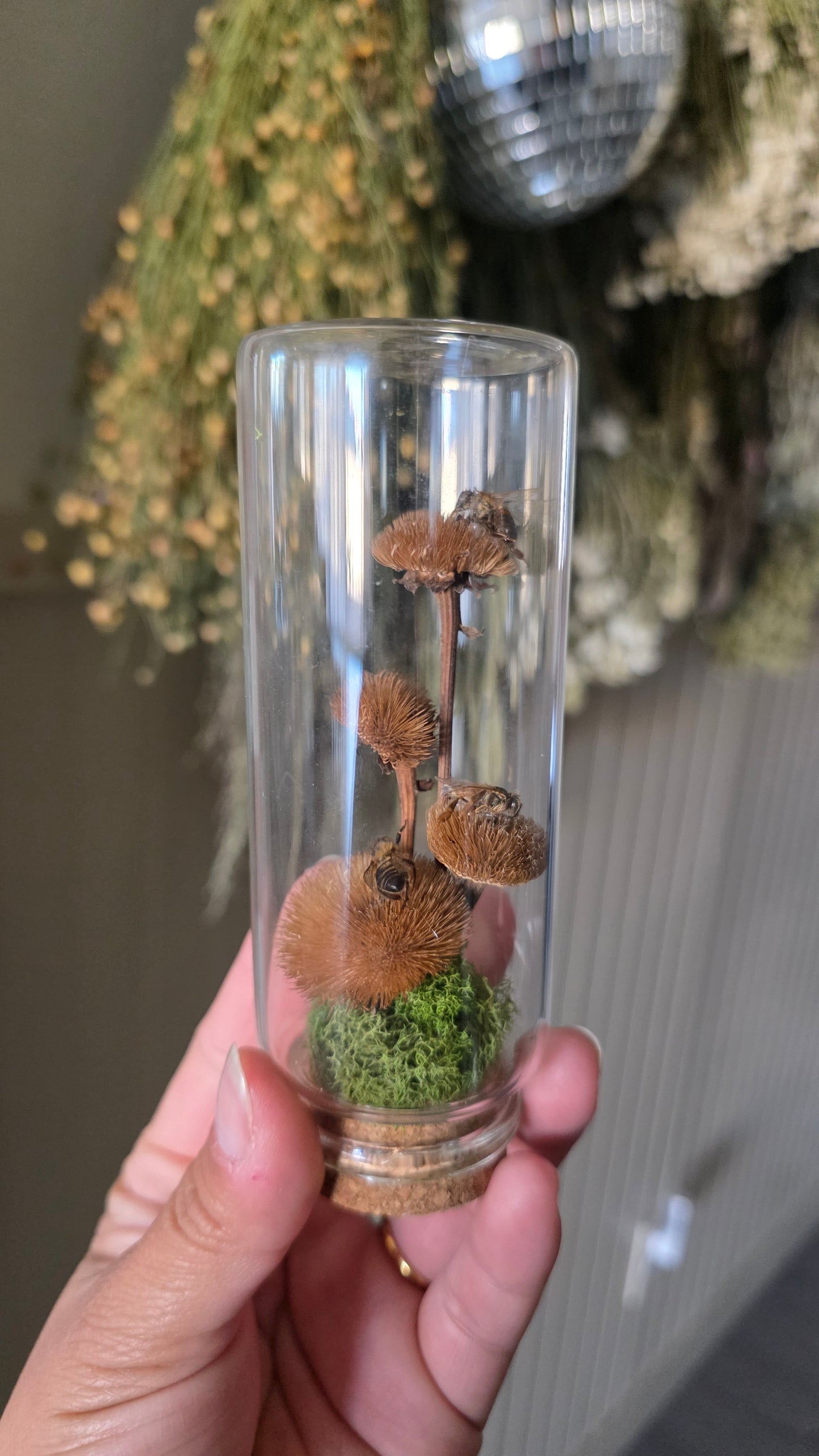 Mini Garden Honey Bees .2