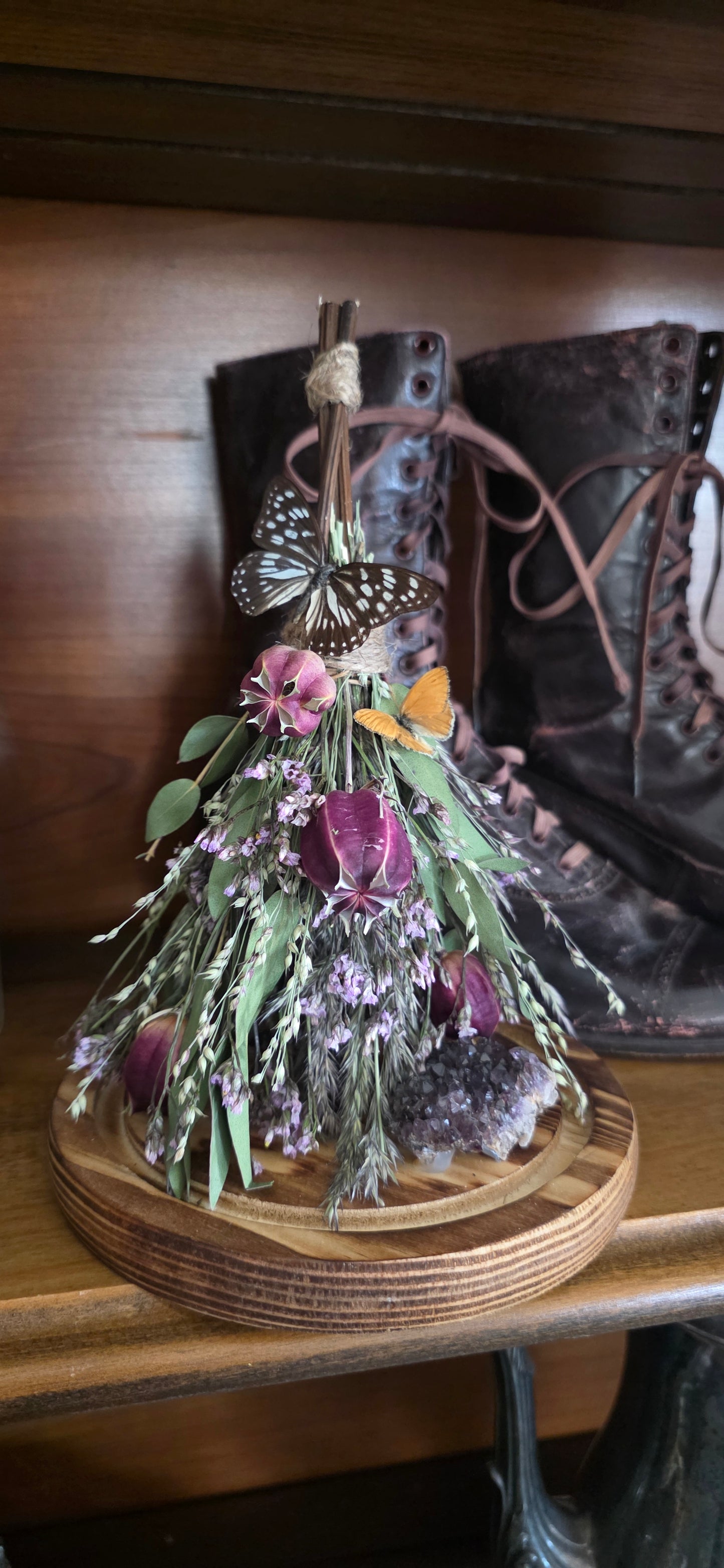Witches Broom Butterfly Dome .1