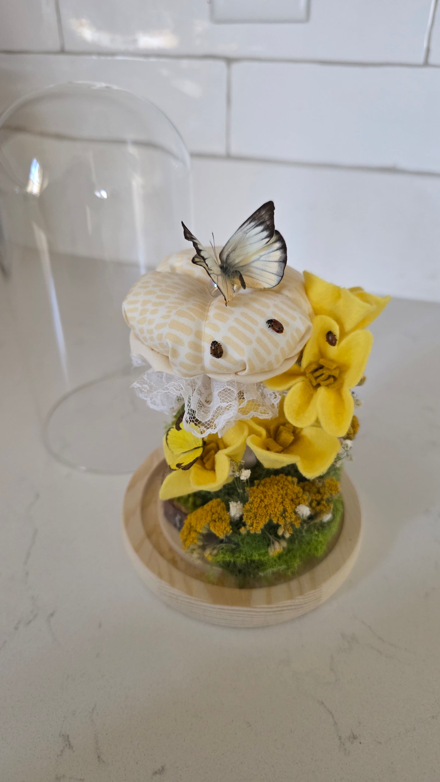 Yellow  Mushroom Garden