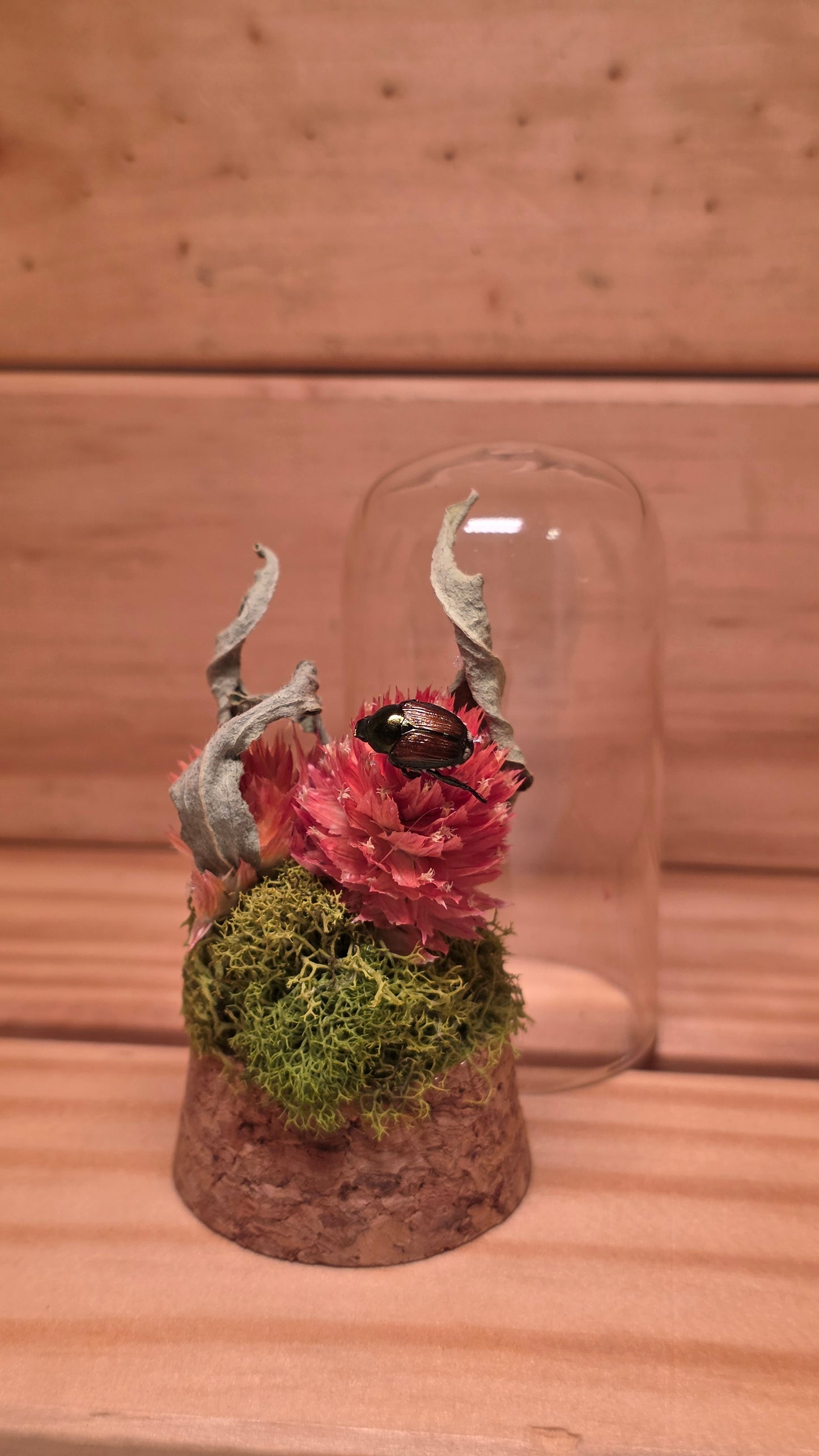 Japanese Beetle Dome .3