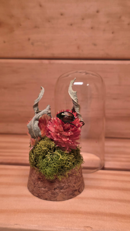 Japanese Beetle Dome .3