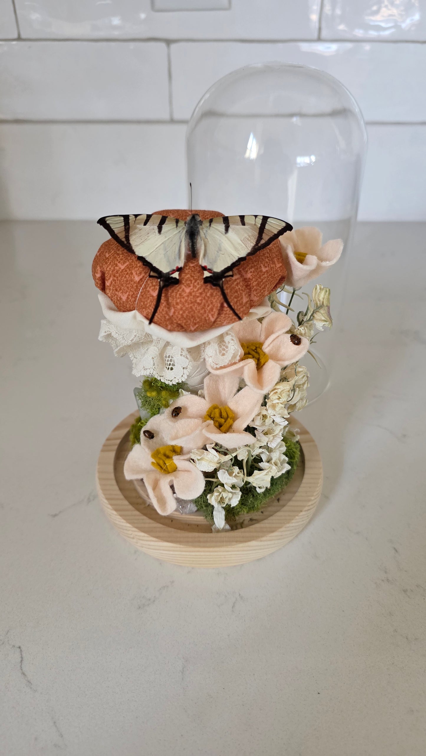 Burnt Orange Mushroom Garden