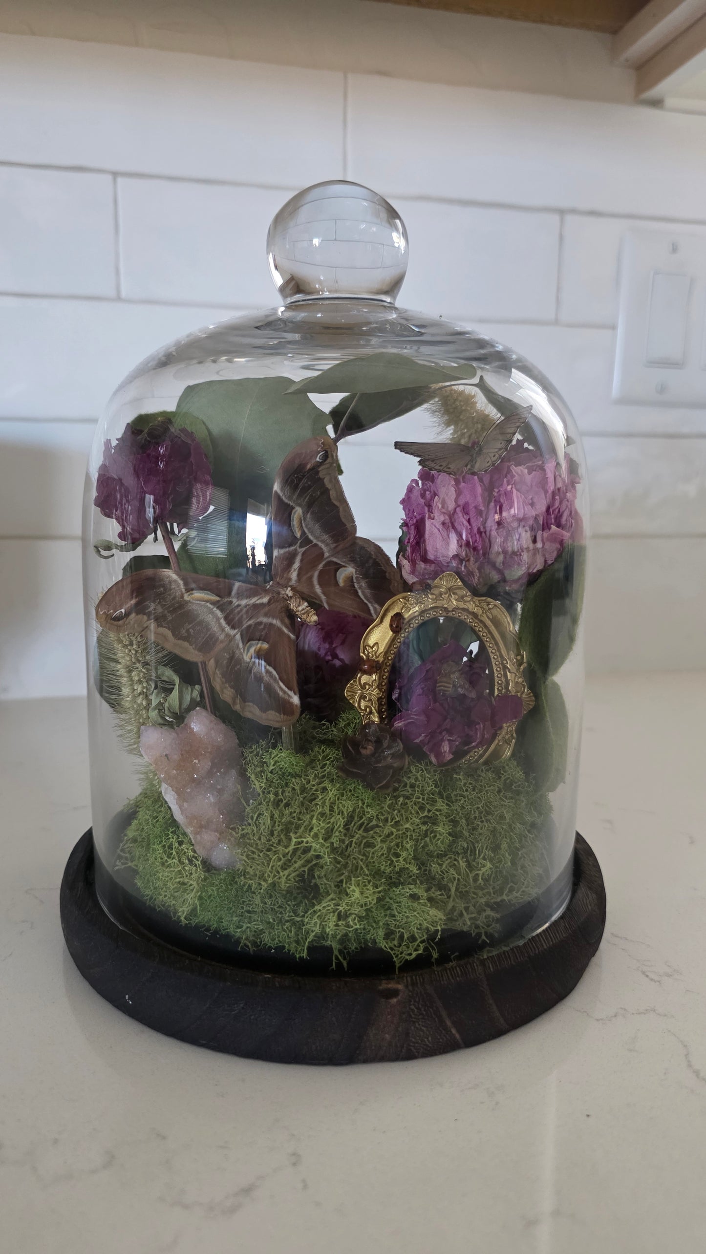 IvyBlossom Dome