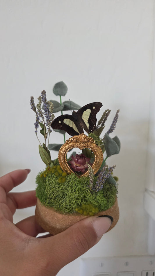 Mini Heart Frame Butterfly Dome
