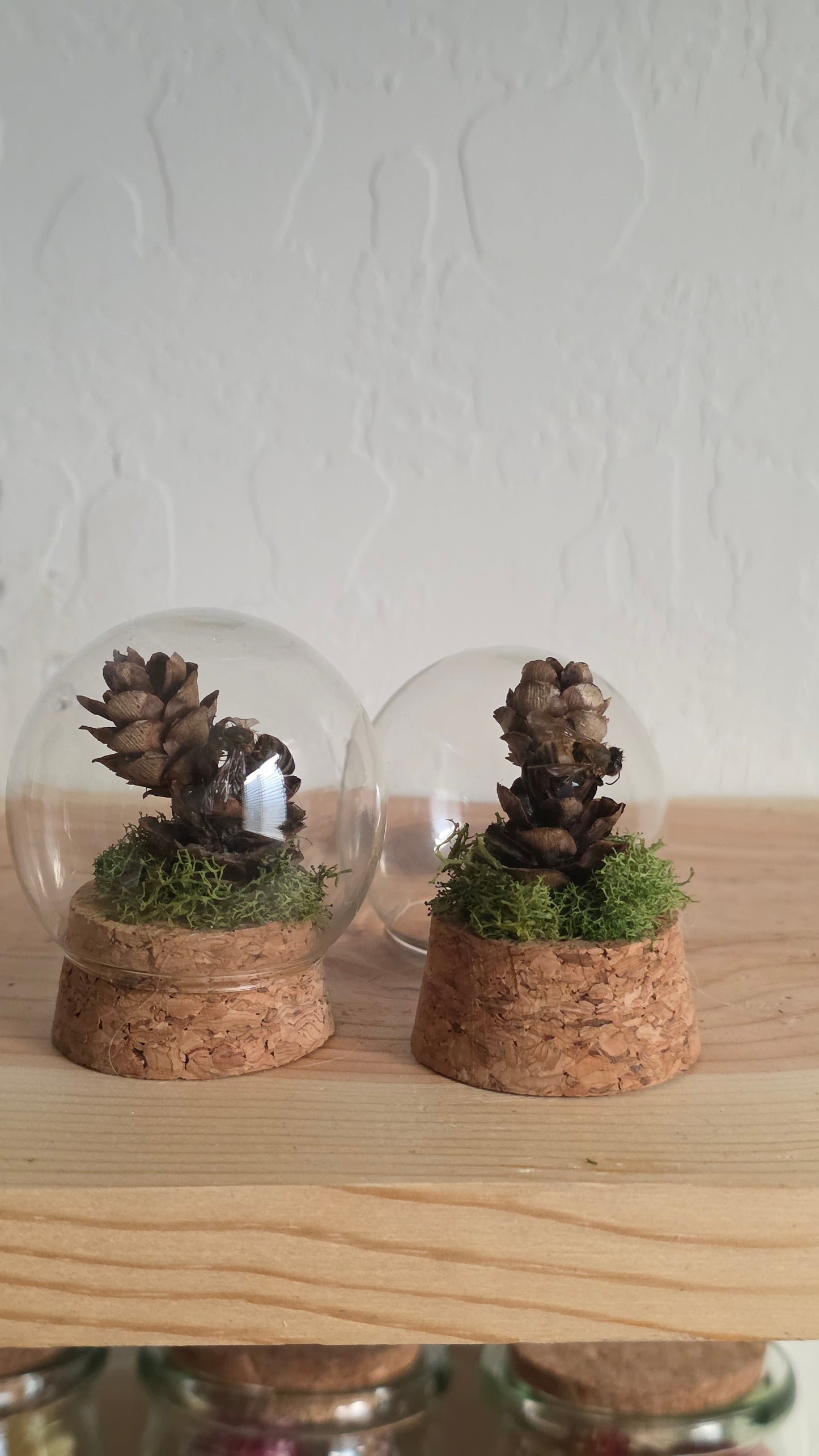 Mini Pinecone Bee Dome