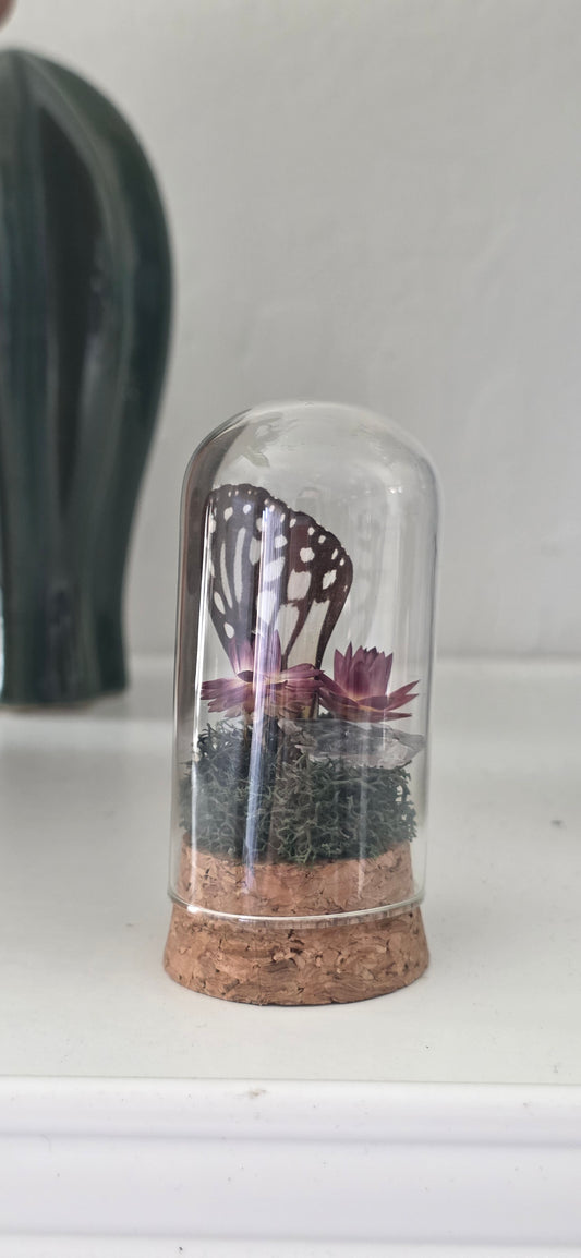 Wing Trinket.3