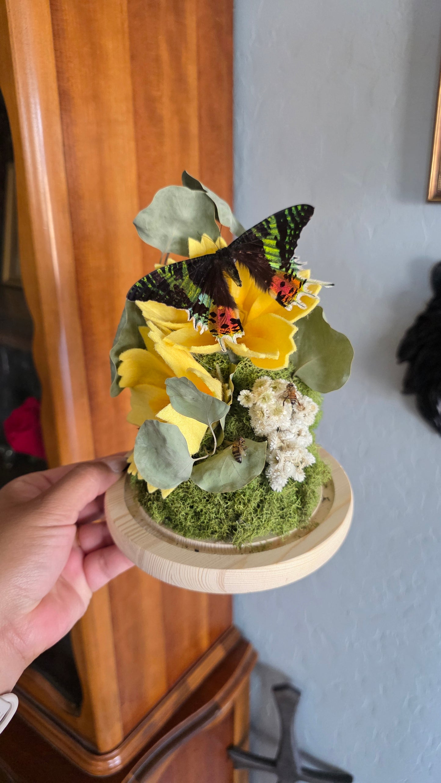 Sunset Moth Cloche