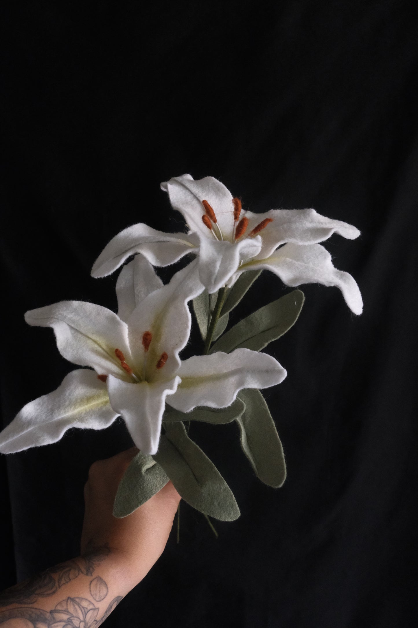 Lily - Flower