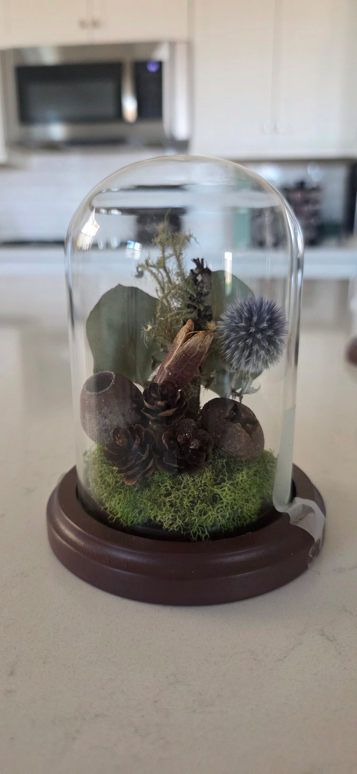 Woodland Dome .4