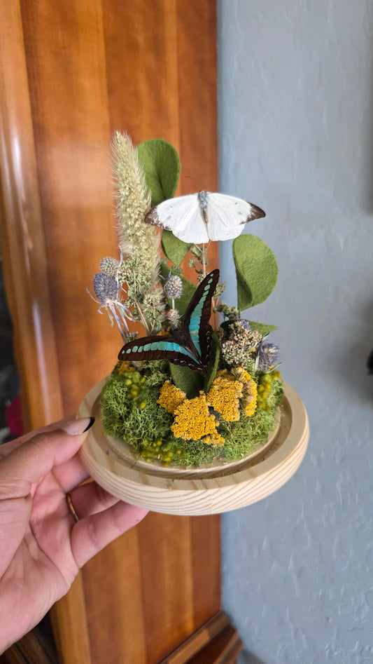 Garden Butterfly Dome