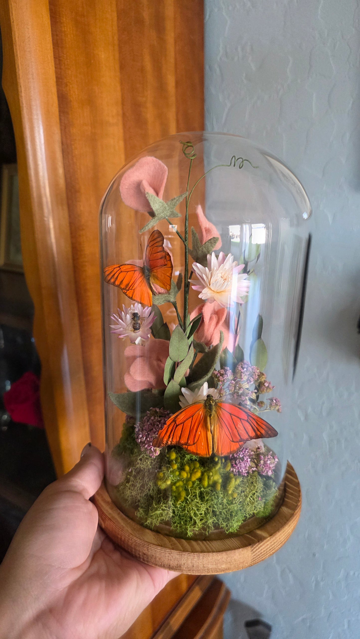 Fairy Butterfly Dome