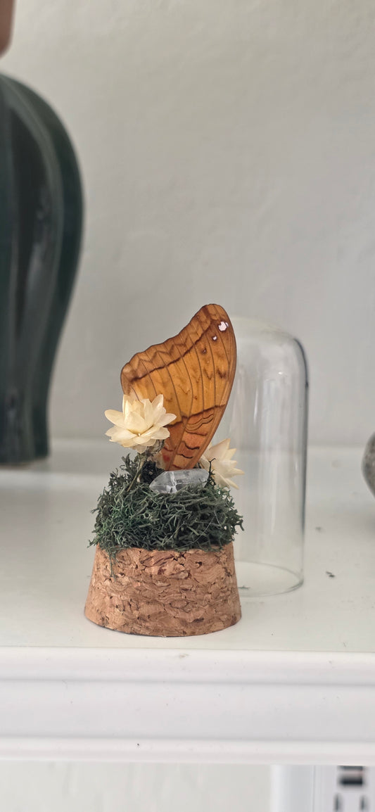 Wing Trinket.1