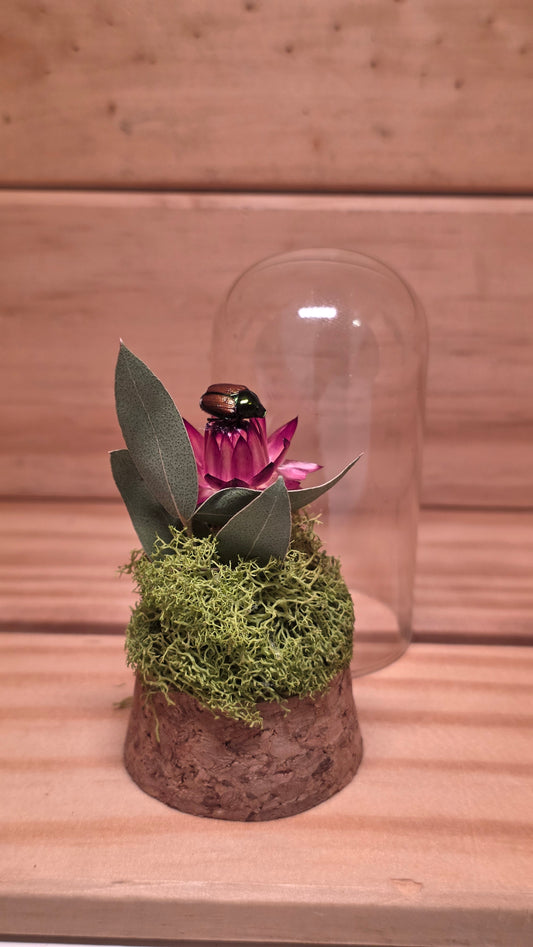 Japanese Beetle Dome .4