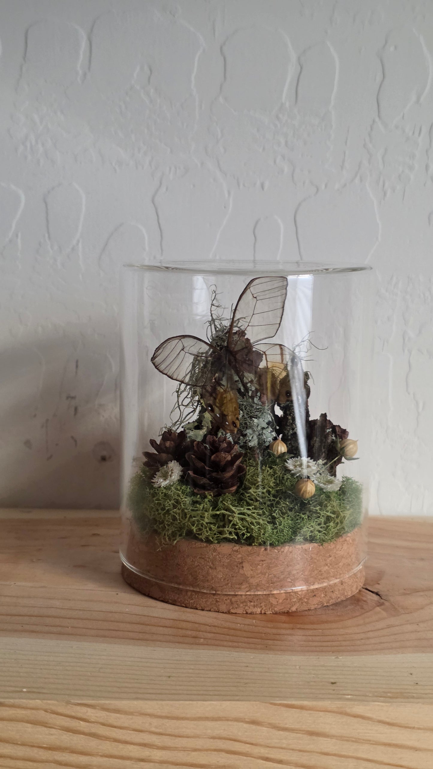 The Fairy Dome