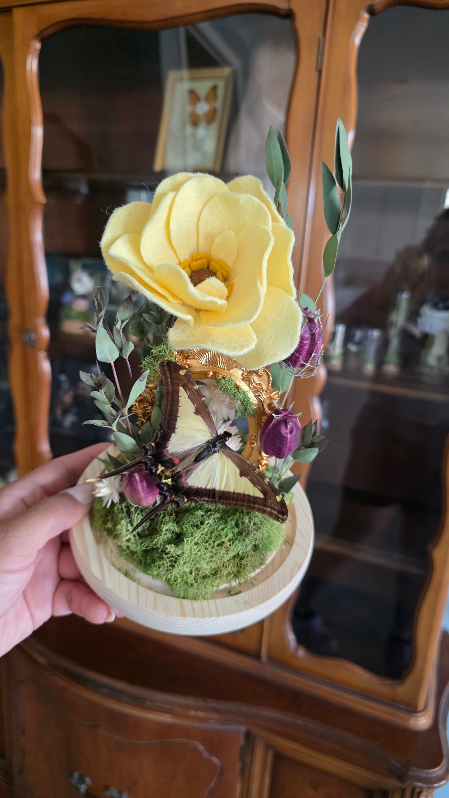 Fairy Portal Dome