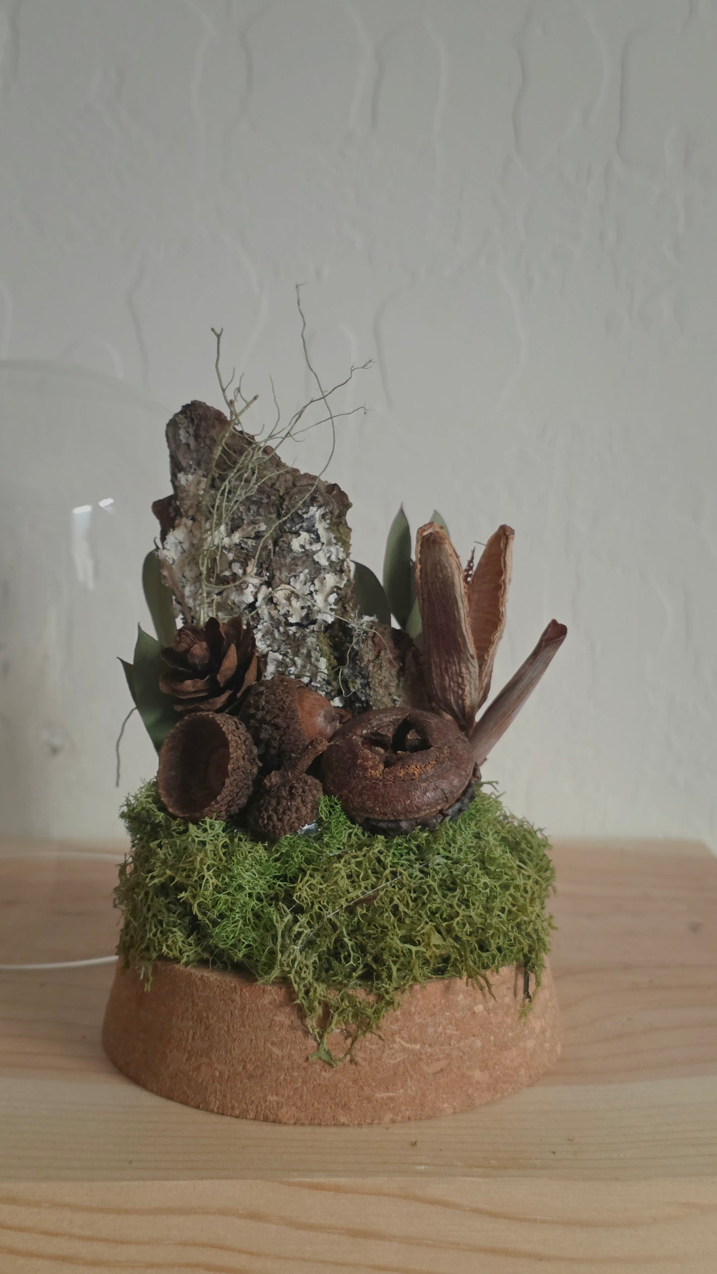 Woodland Dome .2